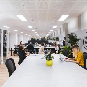 coworking space to improve mental health