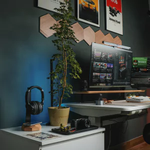 Freelancers Can Benefit From Coworking space