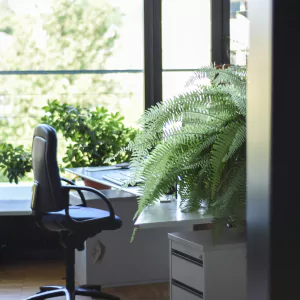 affordable serviced office space in Guindy
