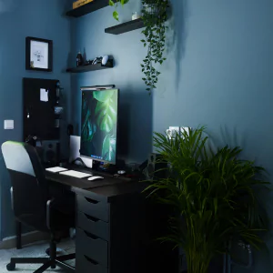 benefits of plug and play office for freelancers
